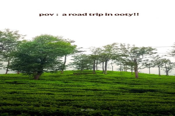 pollachi to ooty cabs